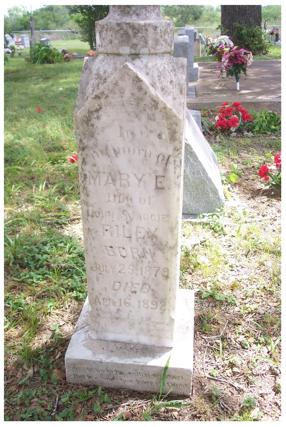 Photograph of a weathered stone grave marker in a cemetery, inscribed 'In memory of MARY E., Dau. of John & Maggie RILEY, Born July 25 1879, Died Apr 16 1892', with an epitaph on the base and cut flowers and other headstones visible in the background.