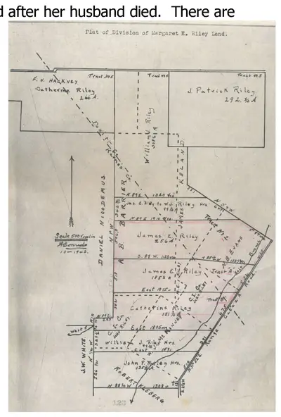 Surveyor's plat map titled 'Plat of Division of Margaret E. Riley Land,' showing tract boundaries and acreages assigned to F.N. Haskney, Catherine Riley, J. Patrick Riley, William J. Riley, James E. Riley, William J. Riley Hrs., John P. Riley Hrs., and neighboring landowners (Nickodemus, Barrier, White, Kleberg, Evans, Martin).