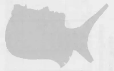 Generic gray silhouette icon representing a person/photo placeholder, used as a decorative stand-in since no actual photograph of Ruth Weaver is available.