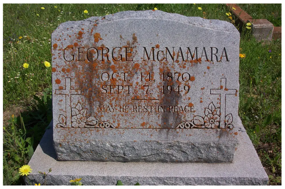 Granite headstone of George McNamara with crosses and floral carvings flanking the inscription, set in a grassy cemetery with wildflowers.