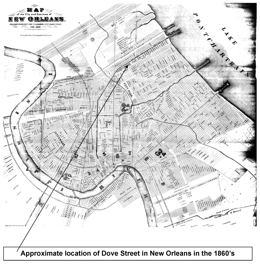 1867 map of the City and Environs of New Orleans, showing the Mississippi River bend, Lake Pontchartrain, City Park, numbered fire districts, and surrounding neighborhoods (Carrollton, Jefferson, Bernewille, Belle Ville, Freetown, etc.), with an arrow pointing to a location on the map marking the approximate site of Dove Street, where William and Catherine McNamara lived.