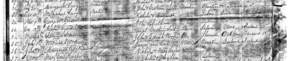Red highlight box drawn over rows 41 and 42, marking the birth entries for Honora Galvin Riley (daughter of Patrick & Ellen Riley) and an unnamed male Riley (son of Nicholas & Mary), the family-history subjects of interest on this page.