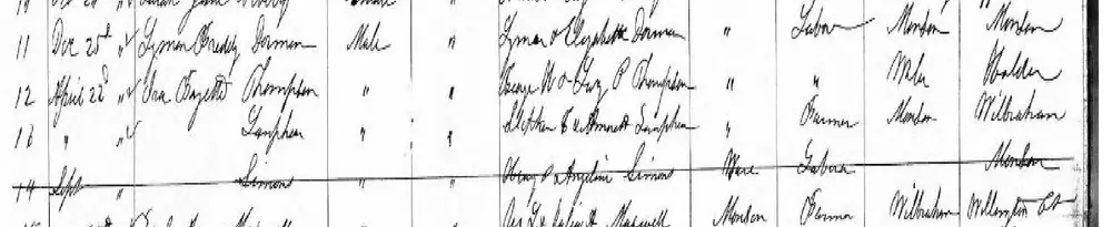 Red highlight box drawn around entry #9, the birth record of Daniel Rily, son of Patrick and Ellen Rily, born Feb 6, 1858 in Monson.